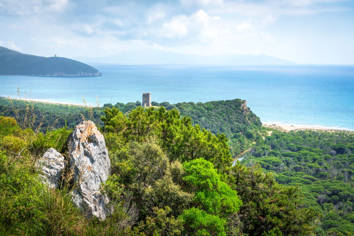 Panoramablick vom Hotel Torre Dorada